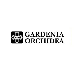 Gardenia Orchidea Ceramics
