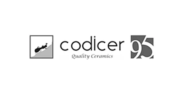 logo-codicer