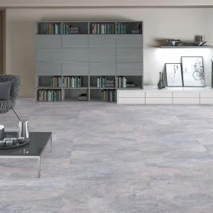 montana-gris-ambiente.preview